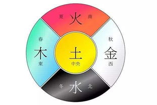 六十四卦五行相生相剋,易經六十四卦各卦分別屬(金木水火土)里的哪一種!!