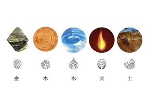 五行屬金命的人擺什麼招財,五行屬「金」生肖旺財吉祥物有哪些?