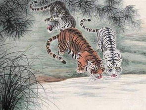 1974屬虎的是水虎還是木虎,1974年出生的人不是水命嗎,怎麼是木命呢