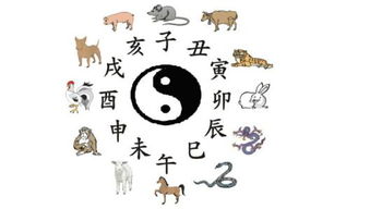 龍字屬金還是土命,屬龍的五行怎麼看