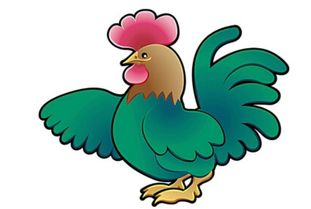 屬兔跟屬雞出嫁可以帶金豬嗎,結婚送親忌什麼屬相