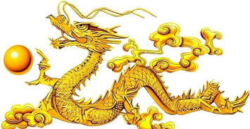 屬龍的缺金取什麼名字,屬龍男孩缺金缺火取什麼名好