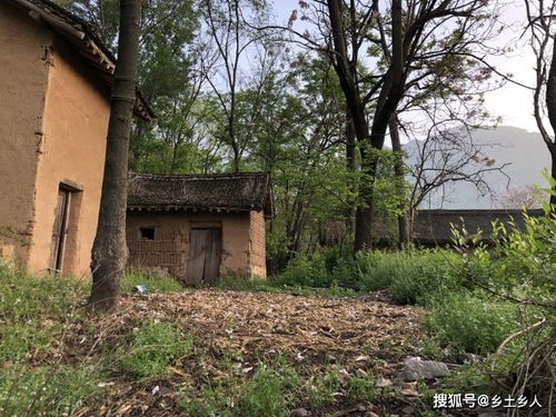 代表房子屬金的字大全,哪些字屬金