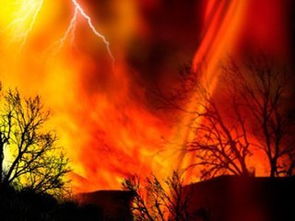 八字偏強屬火命的人,請大師幫我看下吧