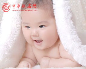 數字十二畫五行屬金,急求十二畫屬金的字!