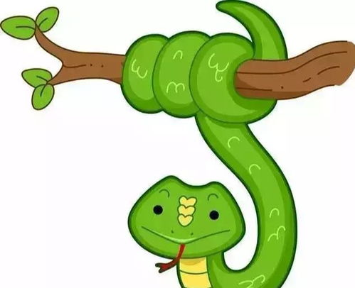 屬蛇人的名字帶金,幫忙給今年屬蛇的女孩子取個好名字謝謝父親姓張母親姓林都是屬蛇