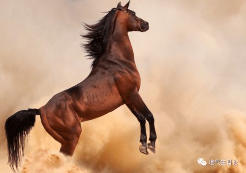 十五歲屬馬的退休金,社保交15年退休拿多少錢?