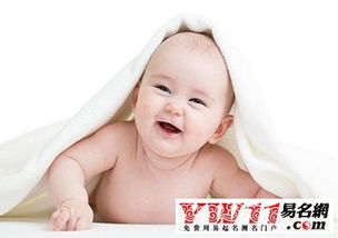 五行屬金的字男孩用狗,五行帶金字的有哪些,男孩好聽的名字怎麼改?