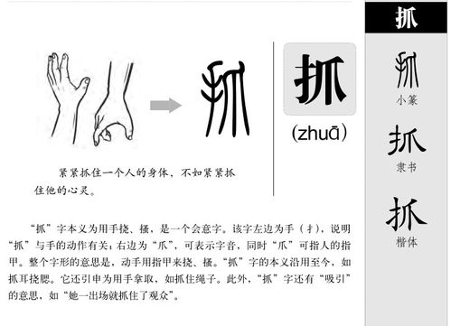 五行屬木的十一畫字解釋,十一畫屬木的字