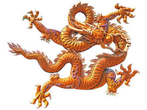 屬龍缺金缺木的男孩名字大全,姓沈男寶寶,今年2月2日生,缺金缺木,幫忙起名父親屬龍,母親屬猴