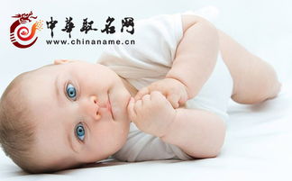 起名字型檔五行屬金,五行屬金,取名字