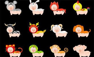 屬火和什麼屬相最好,水金火火土火火火五行屬什麼