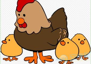 五行屬木屬水的雞寶寶名字,屬水屬木的男孩名字