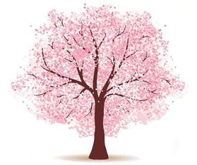 光遇怎樣掛機拿櫻花樹屬火,光遇火試煉怎麼過?