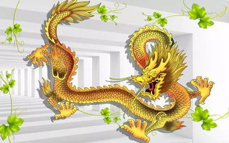 屬龍白臘金男可以戴金嗎,為什麼屬龍不能帶金?