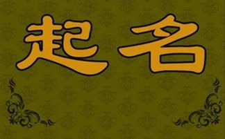 五行屬水木十七畫的字姓名學解釋,五行屬水的字及解釋