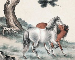 土命屬馬金命屬雞,1893年生的人是什麼命