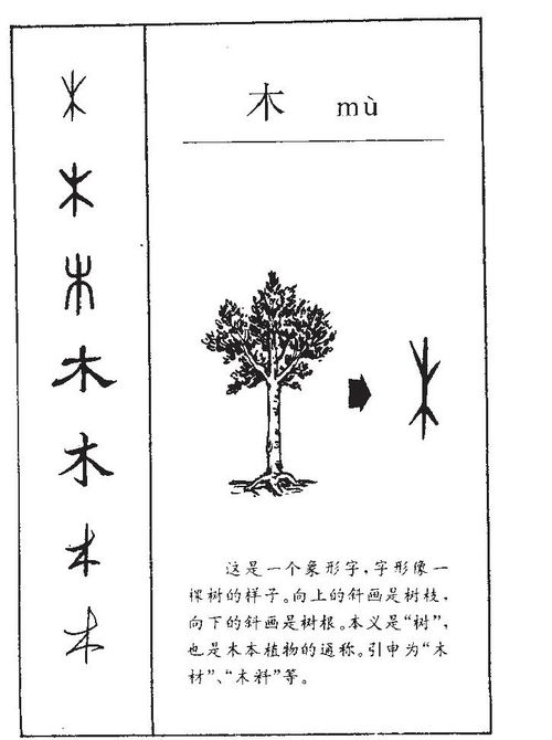 屬龍水命缺木怎麼取名,男孩屬龍缺水缺木取名寶典