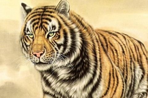 屬虎金命出生在幾月好,金命幾月出生最有福