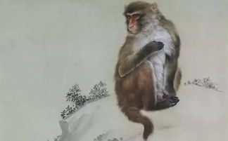 缺金缺水的屬猴男孩子,猴年寶寶起名啟可以嗎?男孩五行缺水姓溫溫啟江溫啟汕溫啟洺那個好