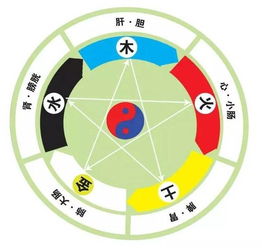 五行水在日常生活中哪些屬於木,土土木水火木火金屬什麼屬性,求解答