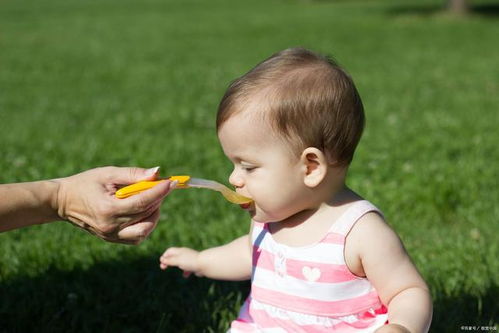 帶火的乳名男孩屬牛,帶火字旁的男孩小名