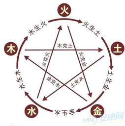 五行屬金的字有哪些及釋義,五行中屬金的字有哪些