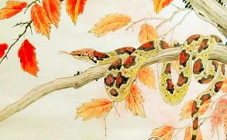 77屬蛇人五行到底是火還是土,男77年蛇陰歷3月18女89年蛇陰歷10月24命理配不配