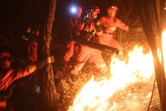 晗是屬明火還是暗火,萱是屬於金