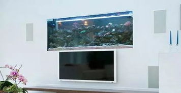 生肖屬火可不可以放魚缸,魚缸與風水有什麼區別?火相衝之忌.魚缸與爐灶對沖,會對家人的健康