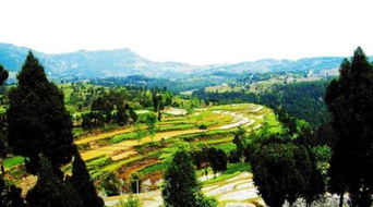 金開區屬達州管還是屬開江管,達州市屬於哪個省