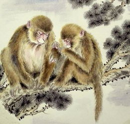 屬火的工作是什麼,五行屬火的職業有哪些?