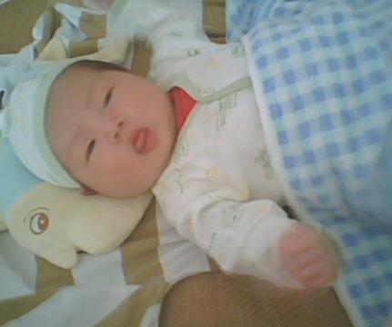 屬兔女孩帶金的名字,取名,屬兔,女孩,想取個比較中性的名字