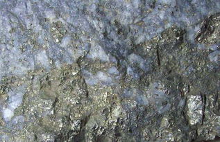 屬蛇的白蠟金命是什麼意思,2001年)生的肖蛇者運勢如何?辛已年(1941 2001年)生