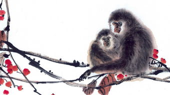 屬猴缺火是否合適養雞,命里缺火怎麼辦