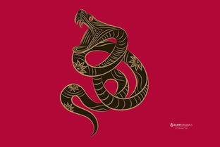 五行屬四水四火命,命中五行缺什麼