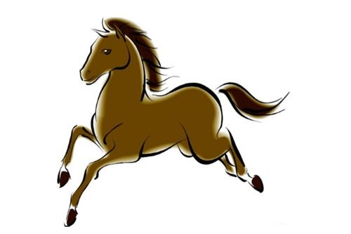 屬馬姓趙缺金男孩,姓趙男孩取名五行缺金