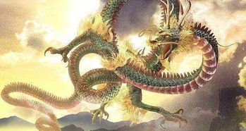 屬龍的女人適合戴金嗎,為什麼屬龍不能帶金?