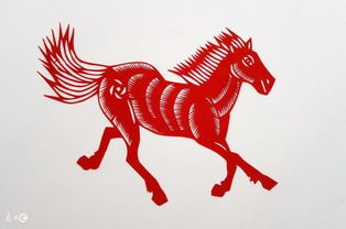 金耀石屬馬的能帶嗎,生肖馬的可以戴貔貅嗎