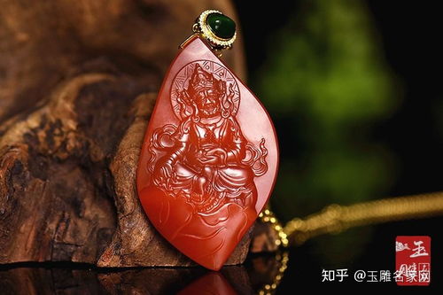 五行屬金土的動物,十二生肖哪些屬於金木水火土