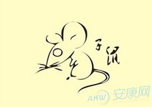 屬鼠五行缺金戴什麼好,屬鼠適合佩戴什麼
