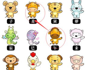 十二生肖哪幾個生肖屬金,十二生肖什麼肖屬金