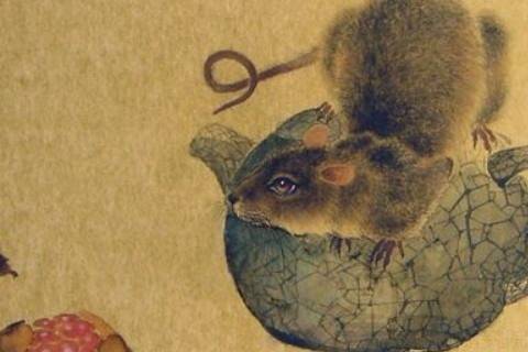 屬鼠缺火楊姓女孩起什麼名,五行缺火取什麼名字好.女娃姓楊