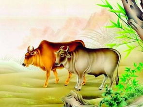 1歲屬牛是什麼金命,屬牛的是什麼命