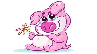 豬屬金適合貼什麼顏色的牆布,牆布顏色如何選擇