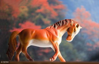 屬馬女五行缺金土怎麼補,2002年