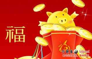 豬男寶屬金的名字,姓金的男孩名字屬豬年出生最好的