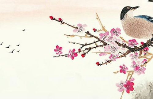 店鋪起名五行屬火的字有哪些,五行屬火最吉利的字有哪些?