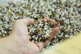 五行屬金的微量元素,五行元素——金的介紹?