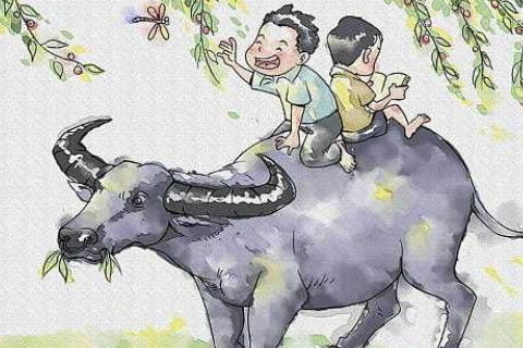 1985屬牛海中金戴什麼,我是男1985年10月22日出生海中金佩戴什麼